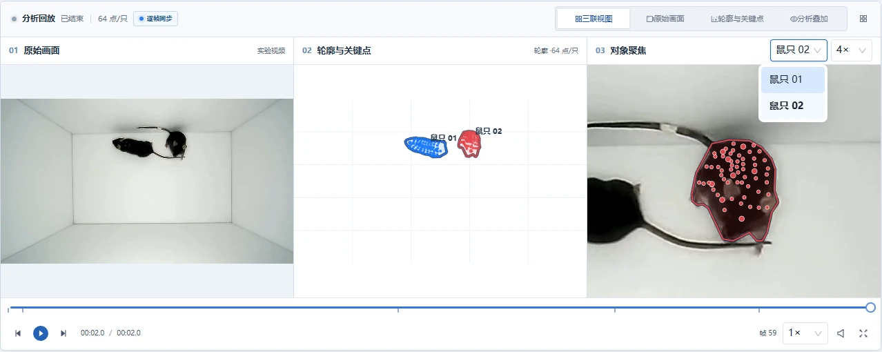 Dense Tracking Studio 实际软件结果工作区，包含三视图、个体切换和视频播放控件